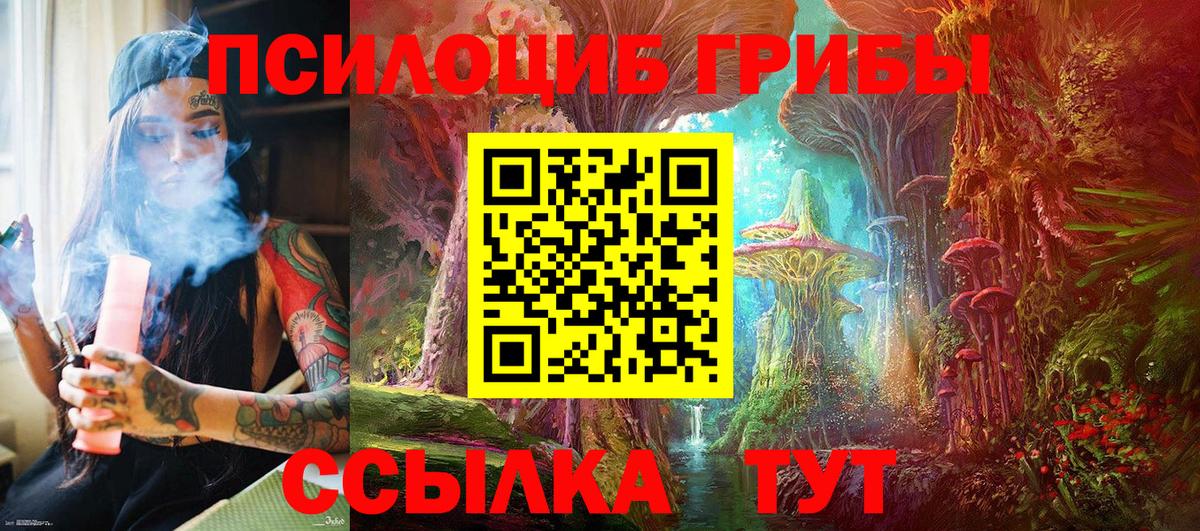 Галлюциногенные грибы Cubensis  Вход с VPN  Петрозаводск 